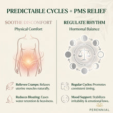 Load image into Gallery viewer, Infographic about predictable cycles and PMS relief with illustrations and text.