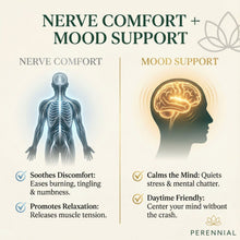 Load image into Gallery viewer, Nerve Health & Mood Balance — Nervana by Perennial