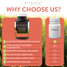 Load image into Gallery viewer, Seasonal Balance & Sinus Support — Sneezonal Defense by Perennial