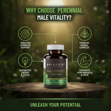 Load image into Gallery viewer, Male Vitality & Hormone Support — Male Vitality+ by Perennial