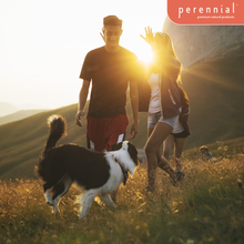 Load image into Gallery viewer, Seasonal Balance & Sinus Support — Sneezonal Defense by Perennial