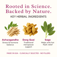 Load image into Gallery viewer, Menopause & Hormone Balance — Moon Phases by Perennial