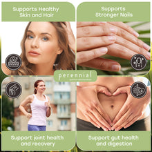 Load image into Gallery viewer, Collagen Peptides for Skin, Joints & Gut — Chocolate | Perennial