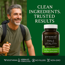 Load image into Gallery viewer, Male Vitality & Hormone Support — Male Vitality+ by Perennial