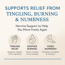 Load image into Gallery viewer, Nerve Health & Mood Balance — Nervana by Perennial