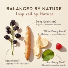 Load image into Gallery viewer, Hormone & Cycle Balance — Healthy Cycles by Perennial
