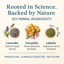 Load image into Gallery viewer, Nerve Health & Mood Balance — Nervana by Perennial