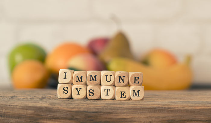 10 Things You Can Do to Have a Healthy Immune System