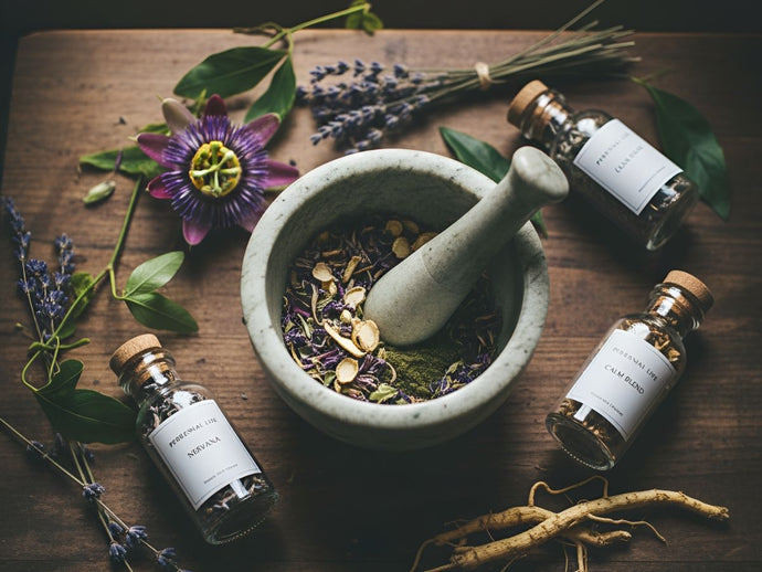 Nervines: The Herbs for Modern Stress