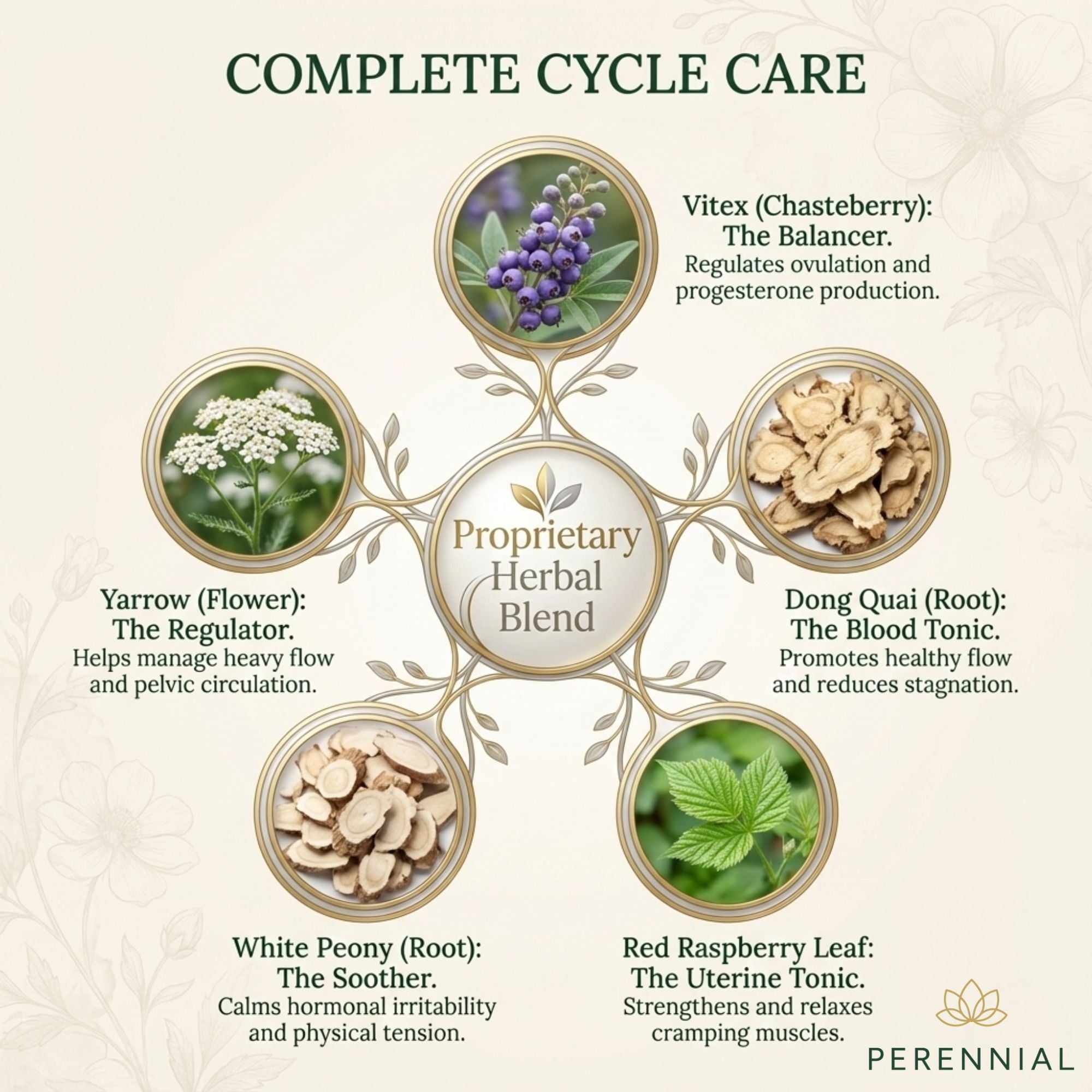 Diagram of a proprietary herbal blend with various herbs and their benefits on a beige background.