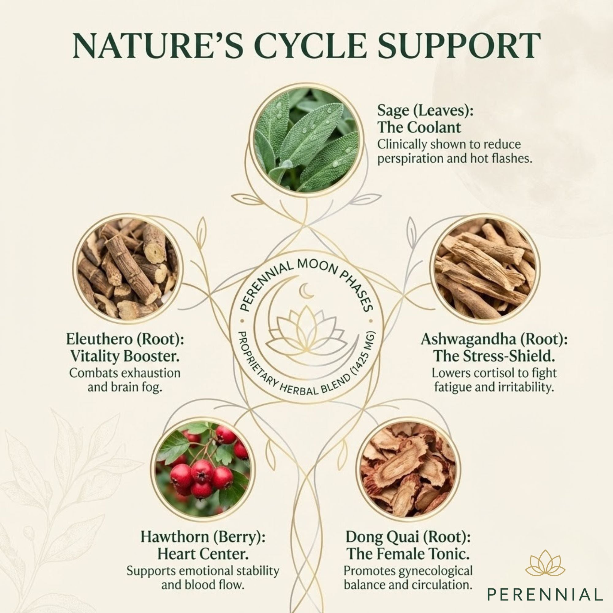 Menopause & Hormone Balance — Moon Phases by Perennial