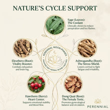 Load image into Gallery viewer, Menopause &amp; Hormone Balance — Moon Phases by Perennial
