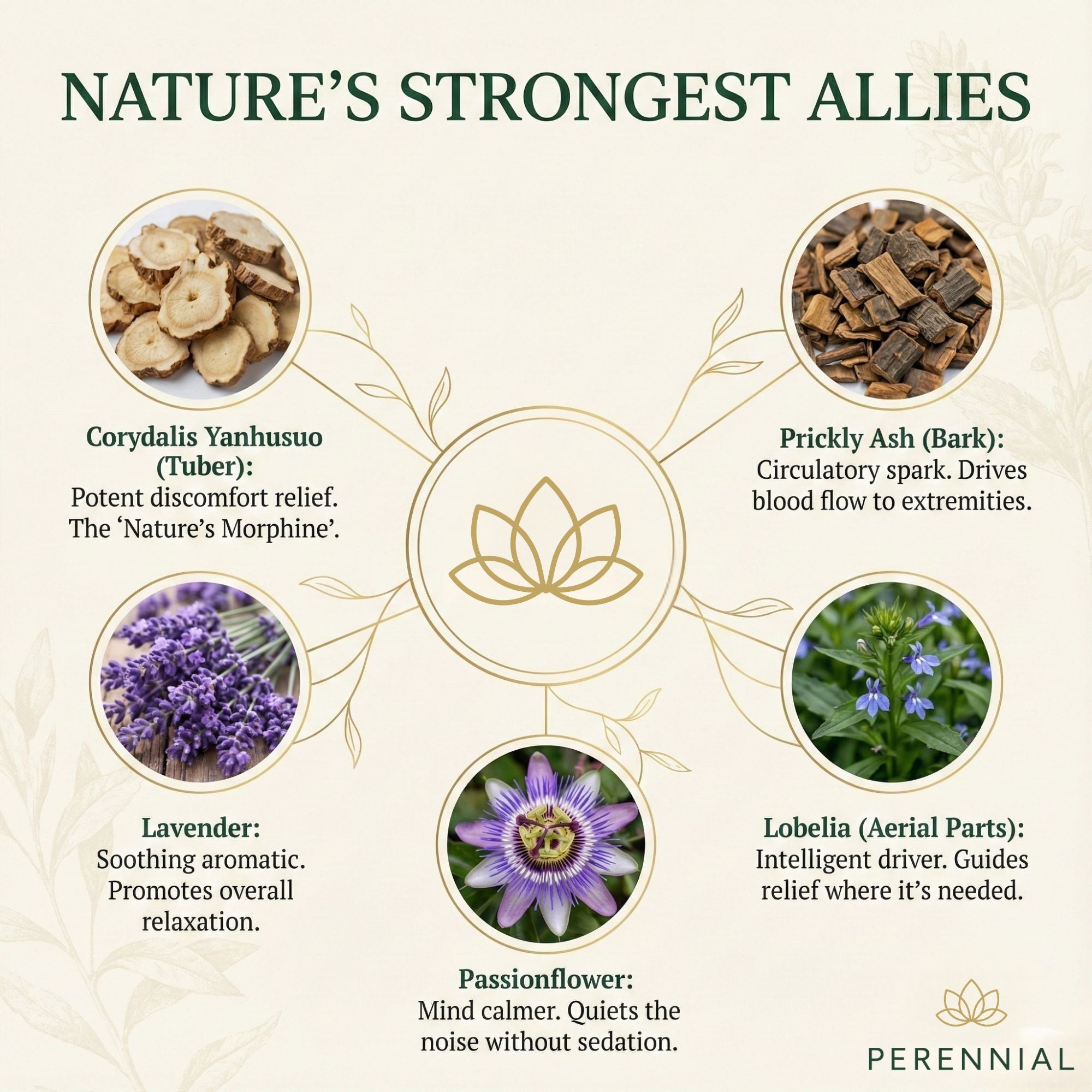 Nerve Health & Mood Balance —       Nervana by Perennial