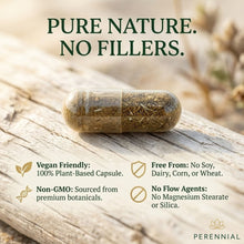 Load image into Gallery viewer, Hormone &amp; Cycle Balance — Healthy Cycles by Perennial
