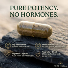 Load image into Gallery viewer, Menopause &amp; Hormone Balance — Moon Phases by Perennial
