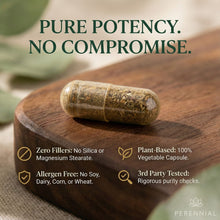 Load image into Gallery viewer, Nerve Health &amp; Mood Balance —       Nervana by Perennial
