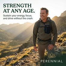 Load image into Gallery viewer, Male Vitality &amp; Hormone Support — Male Vitality+ by Perennial
