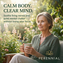 Load image into Gallery viewer, Nerve Health &amp; Mood Balance —       Nervana by Perennial
