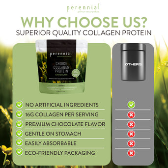 Choice Collagen Protein - Chocolate