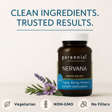 Load image into Gallery viewer, Nervana – Nerve Support Herbal Supplement (120 Capsules)
